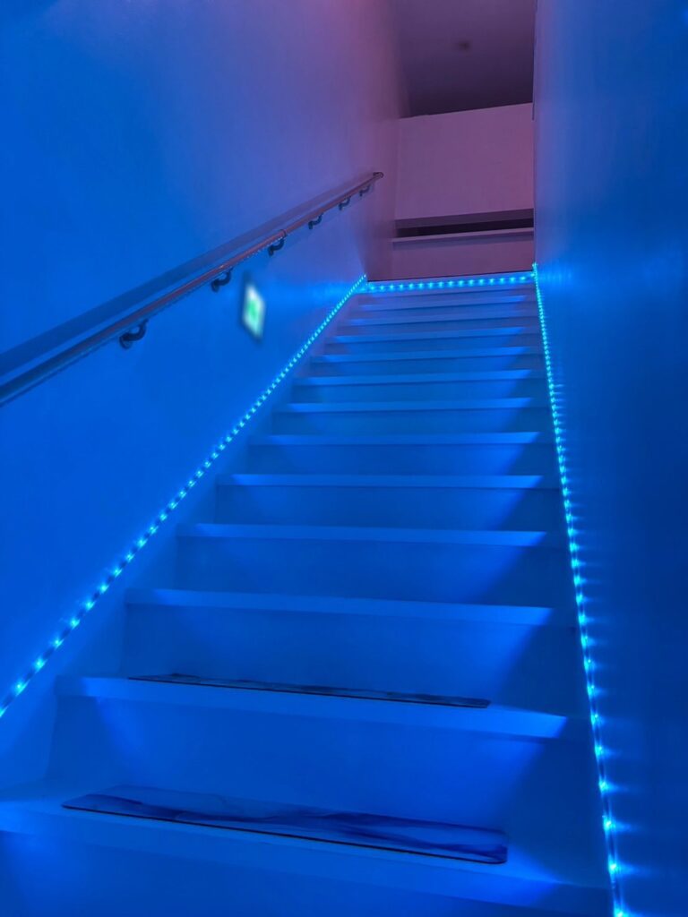 幻想的な階段。これから非日常へと…