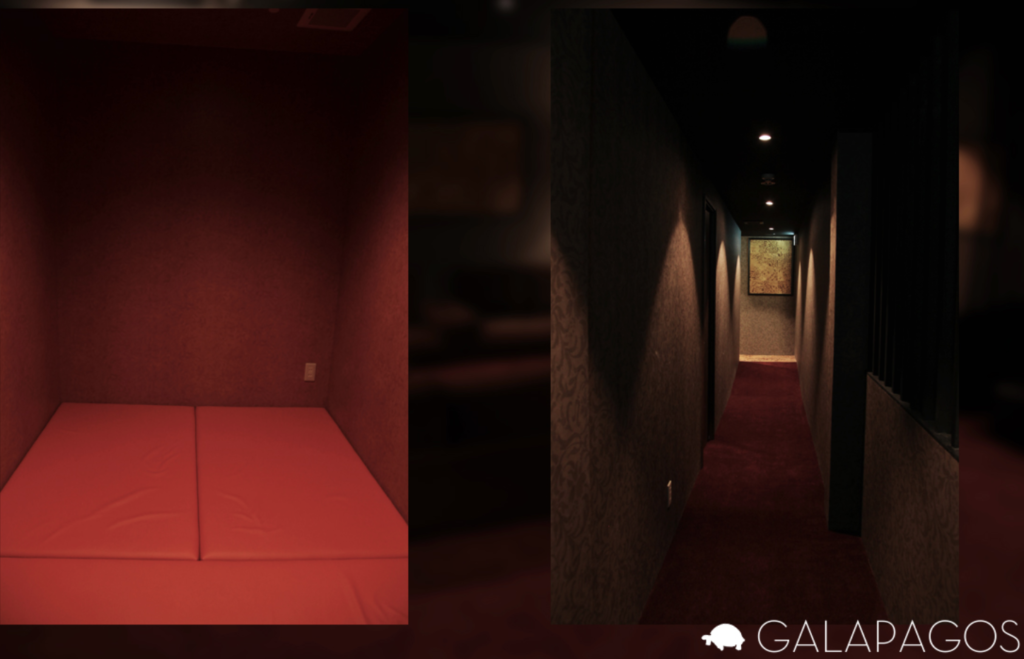 GALAPAGOS(左)ルームと(右)廊下