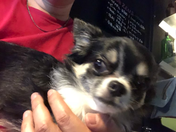 みんなのアイドル♡ ※写真はクラブゼウス蒲田 公式HPより引用