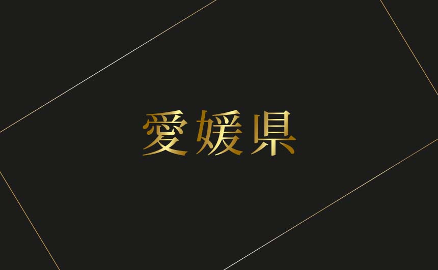 愛媛県のおすすめハプバーまとめ