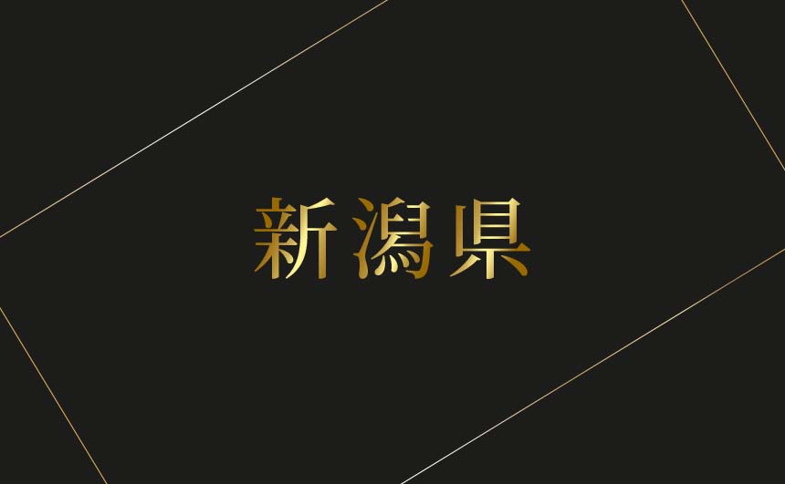 新潟県のおすすめハプバーまとめ