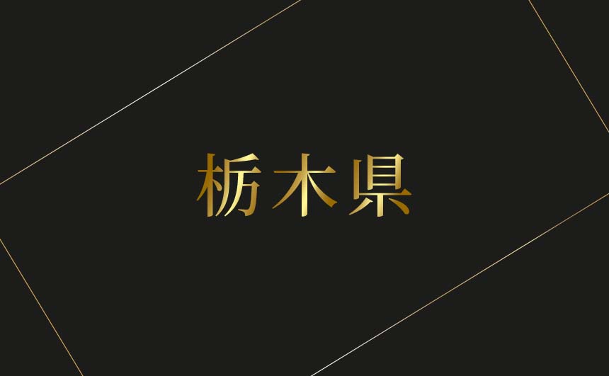 栃木県のおすすめハプバーまとめ
