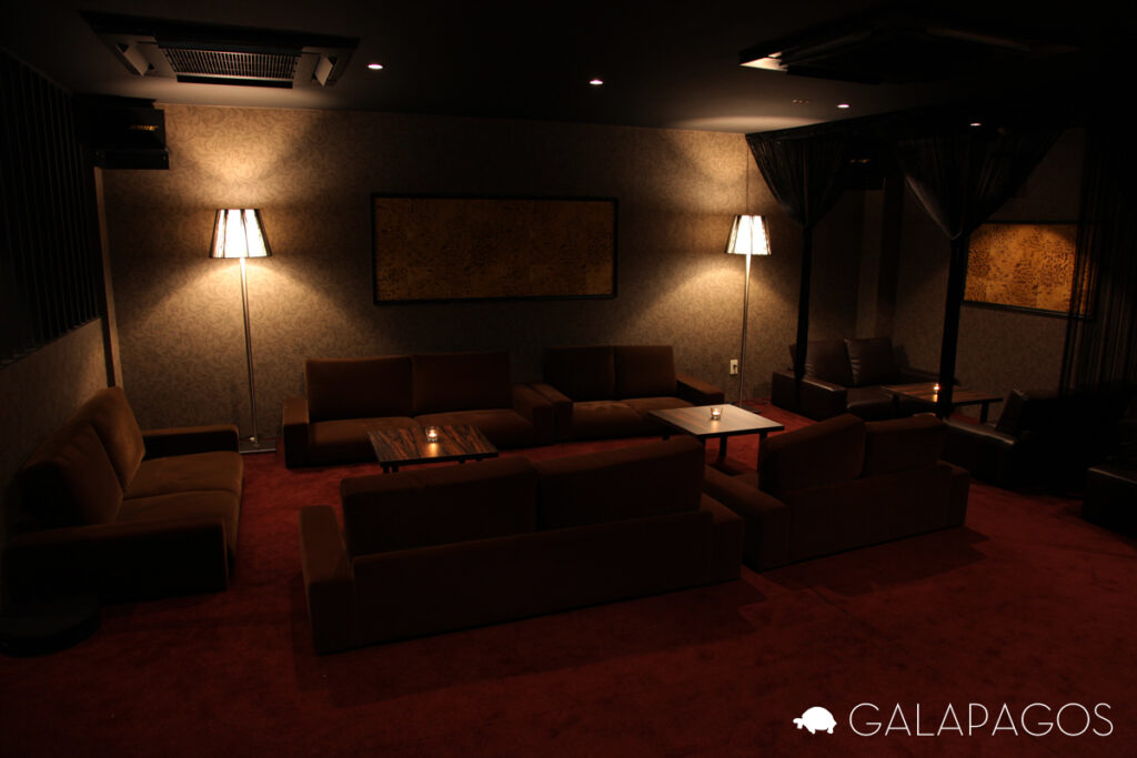 ガラパゴス　フロア（カウンター後ろ）