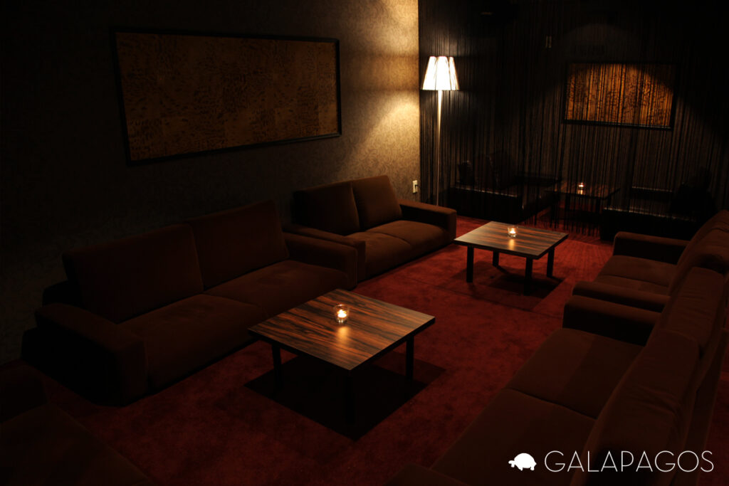 ガラパゴス　ソファ席