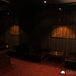 ガラパゴス　ボックス席