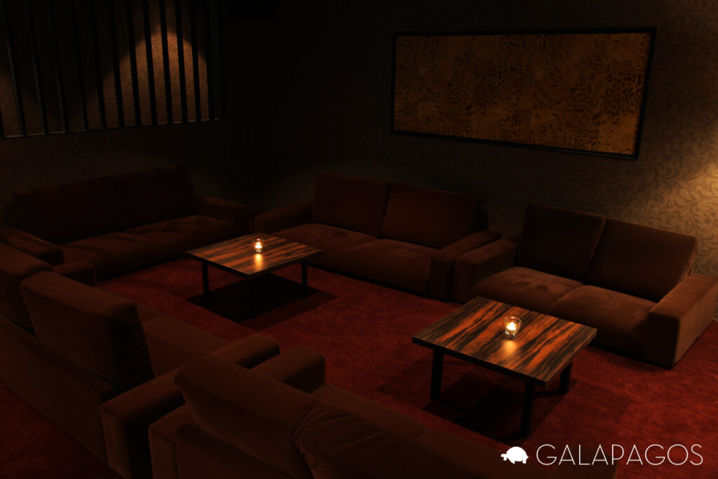 ガラパゴス　ソファ席02