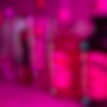 トラップネスト　カウンター後ろ