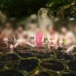 クラブゼウス　イベント　