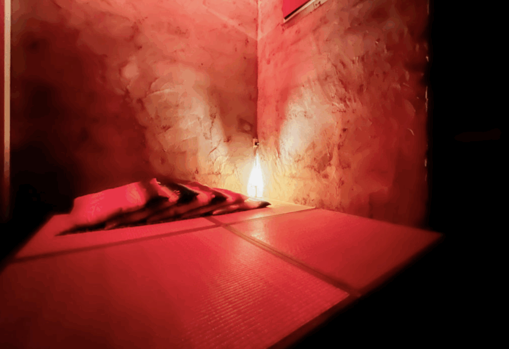 cheeksNagoya（チークス名古屋）畳