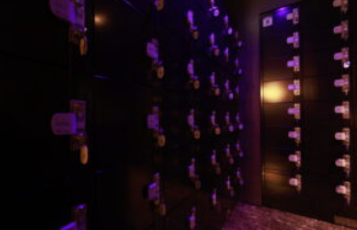 ハーネス東京 鍵付きコインロッカー