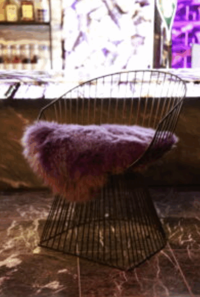 ハーネス東京 椅子