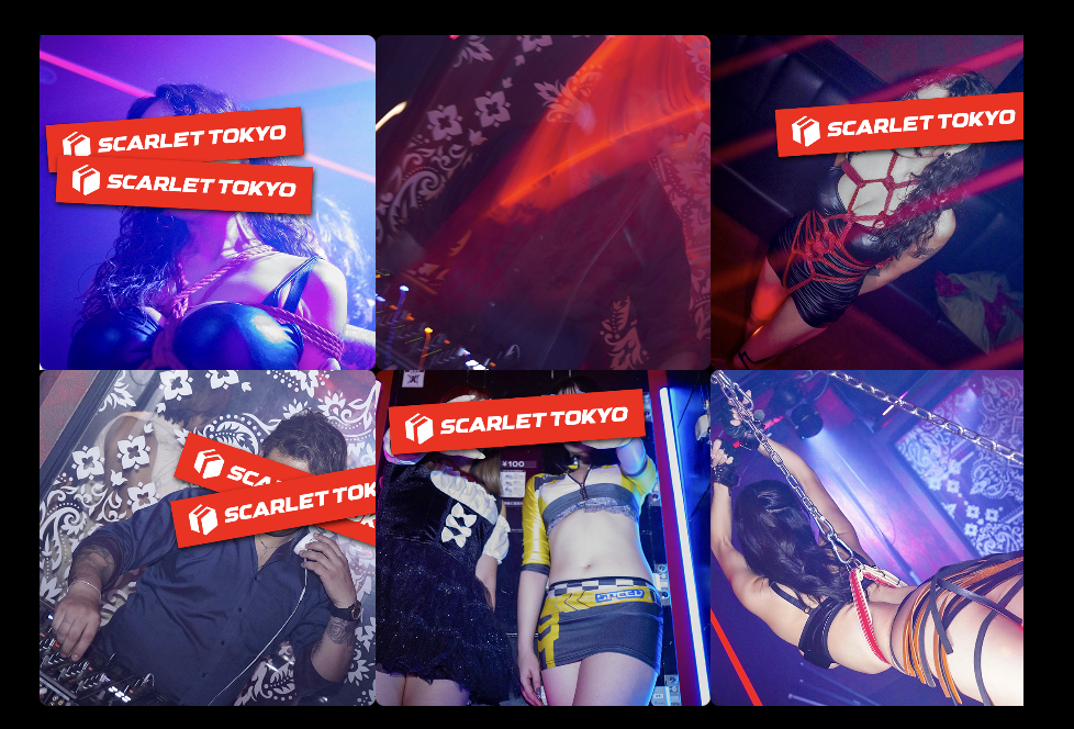 スカーレット東京　コスプレ