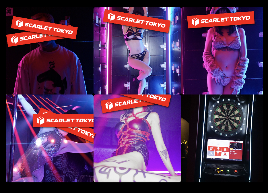 スカーレット東京　コスプレ　ダーツ