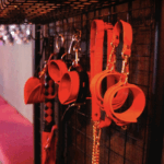 bar-papillon（パピヨン）SM